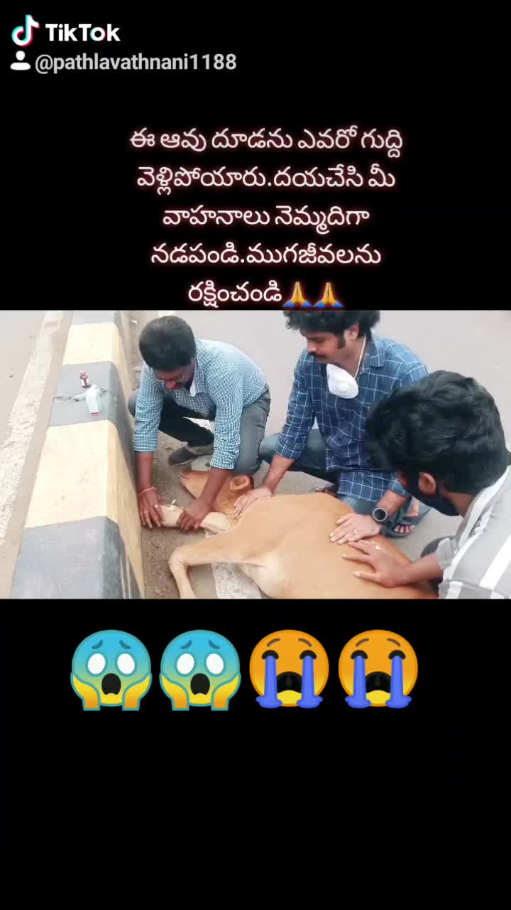 @pathlavathnani1188