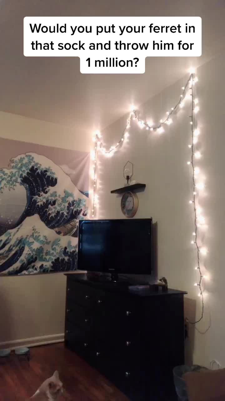 @Ash ✨