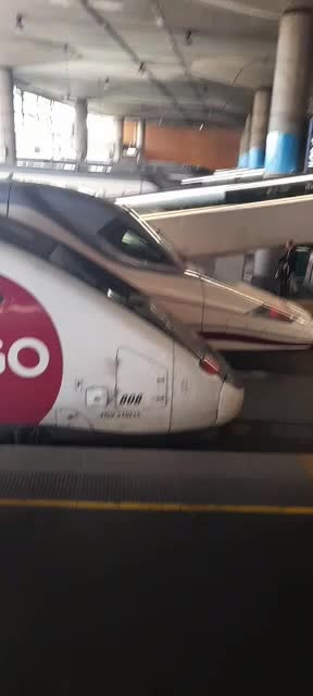 @user36082986051237