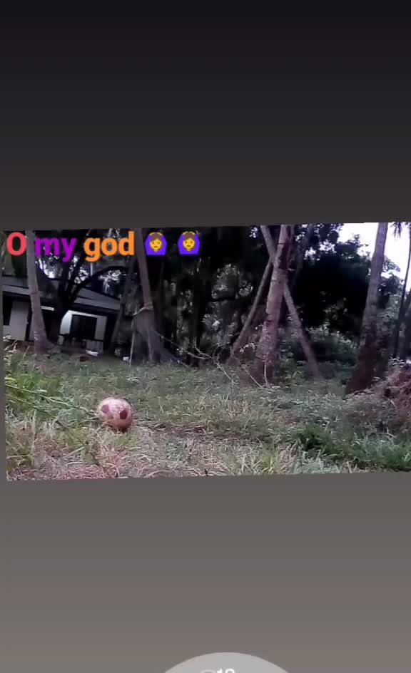 @user7623636400490