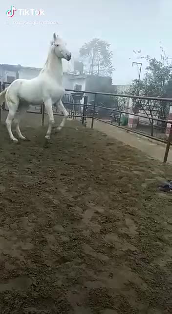 @Choudhary 🔥🔥