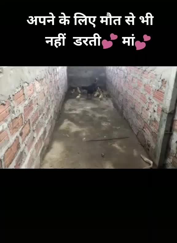 @Rajesh Buriya Kakrod