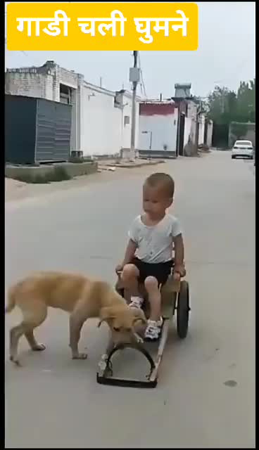 @gujju@gujarat