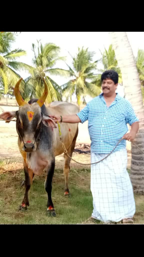 @user392562001433