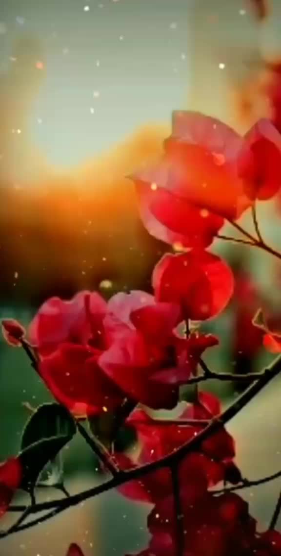 @deepak suman