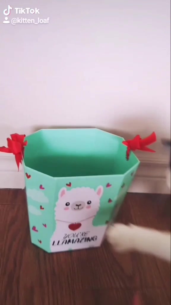 @If I fits I sits