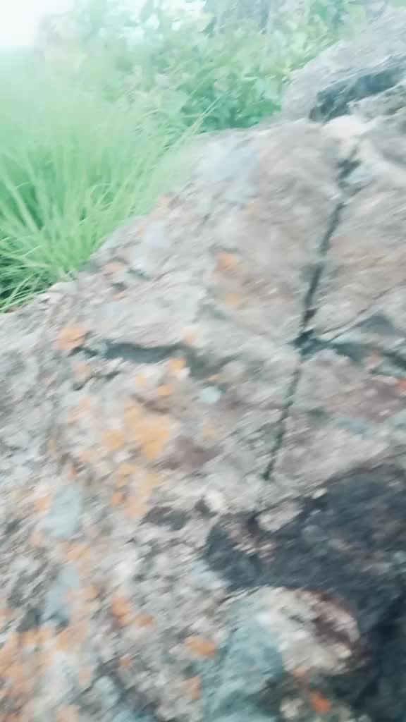 @Saniha Suresh Kumar