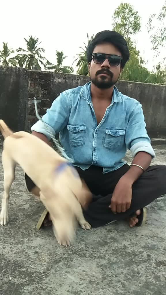 @vijaykumar am