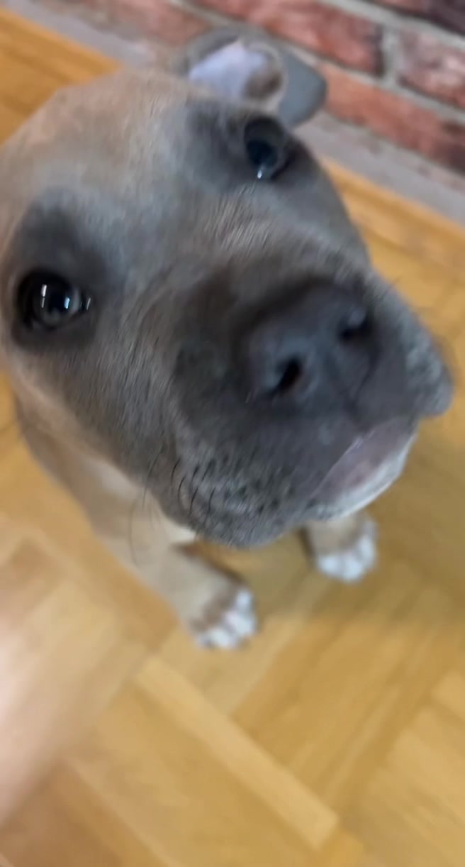 @lifeofpacoo