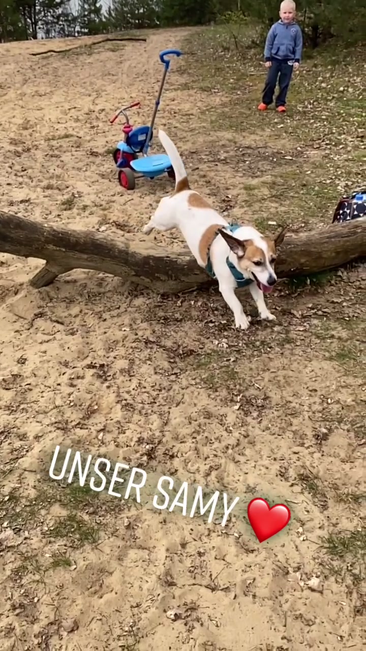 @anna.husung