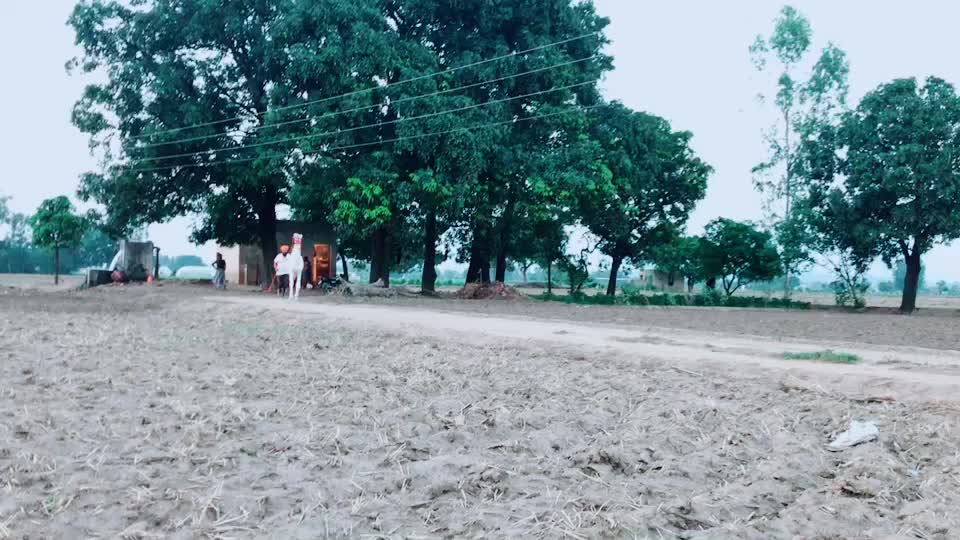 @Aman Benipal