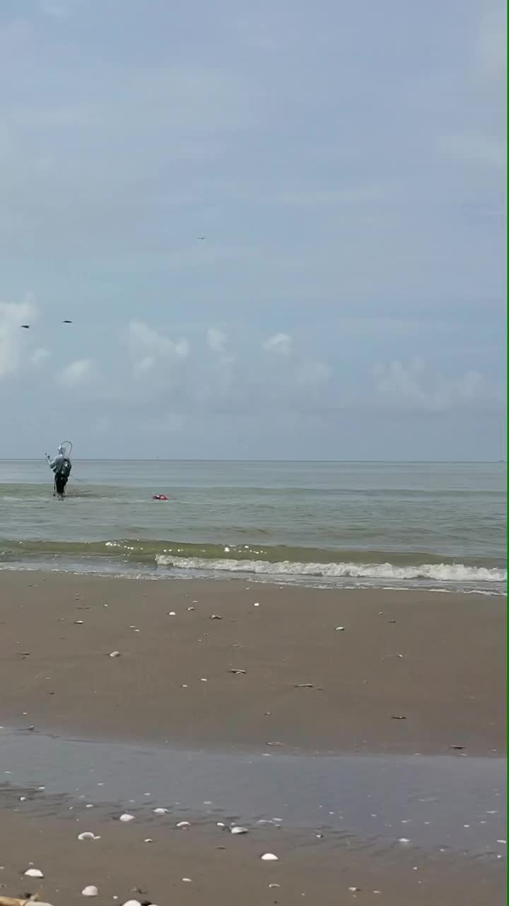 @Pierpunks