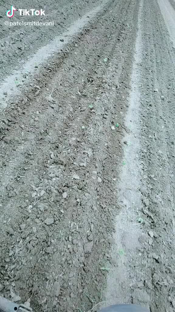 @Abhi Bhimani