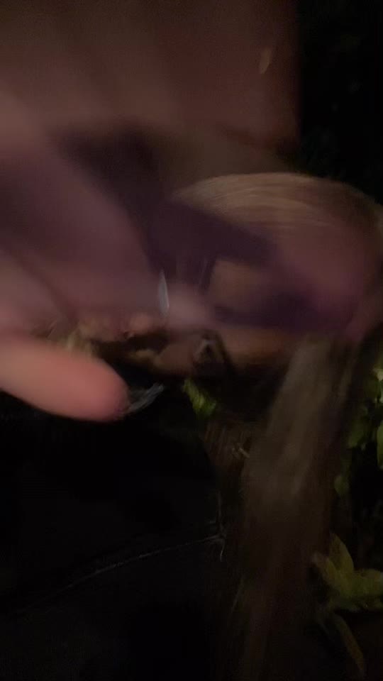 @delfininni