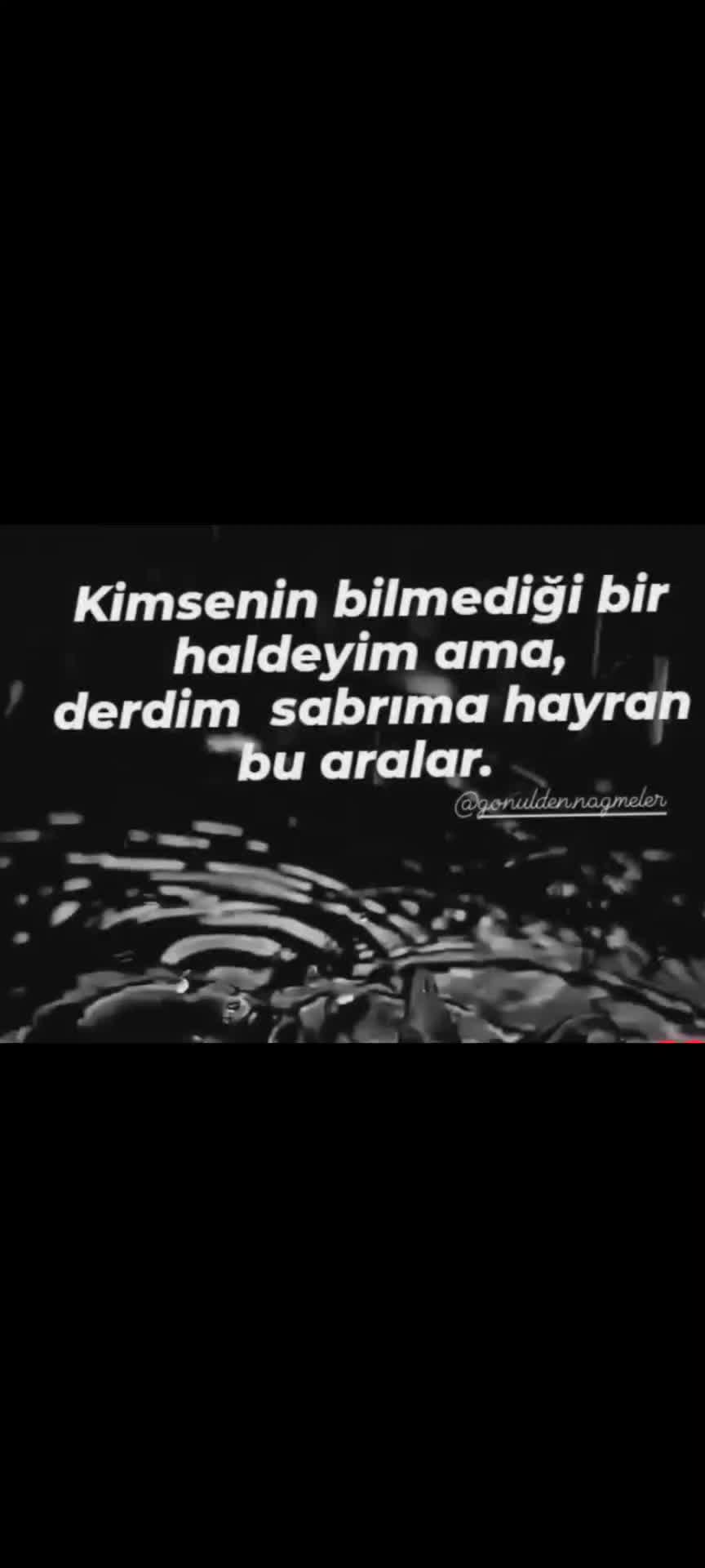 @hevidar01