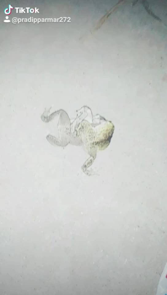 @Pradip Parmar