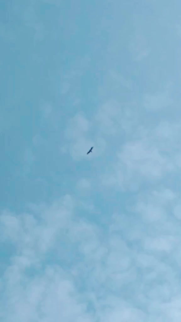 @Vishnu Mulkalla