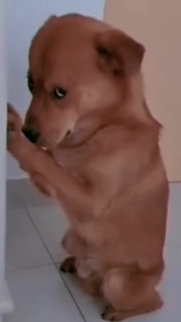 @Raj $—a—i—n—i