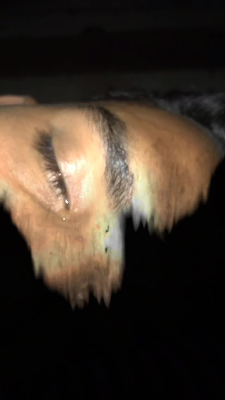 @Banna_boy_😎