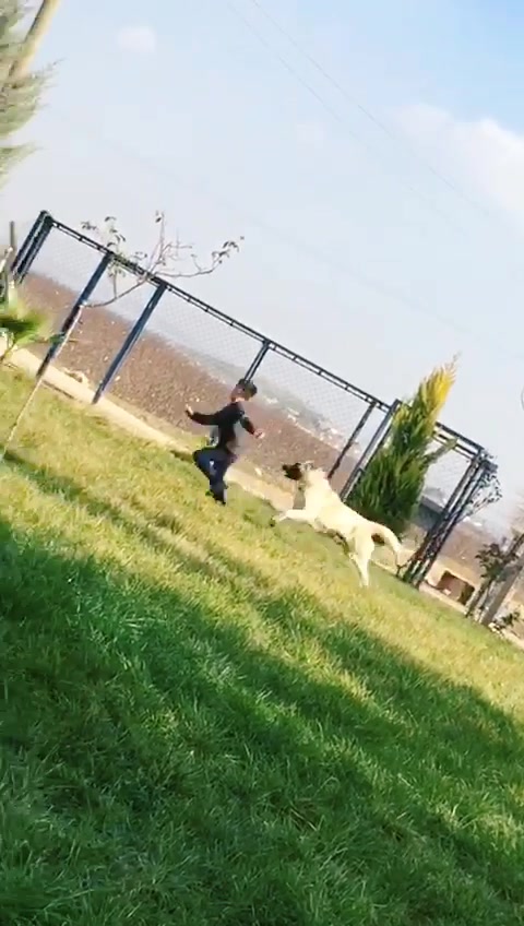 @Adil AKTAŞ