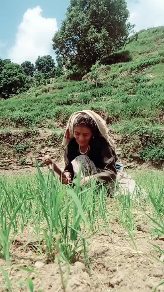 @pooja 😍 26732