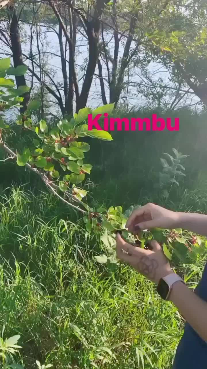 @Minchu
