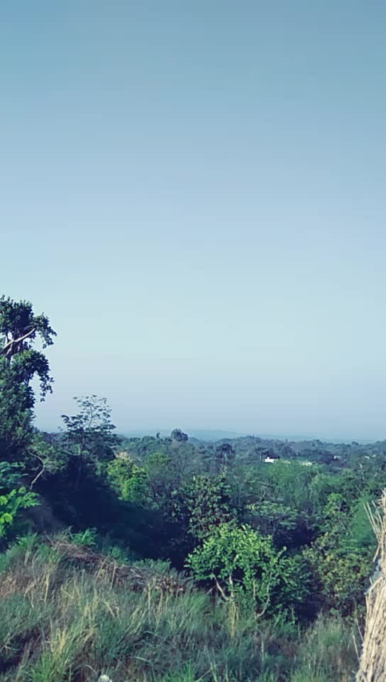 @Rajni koundal