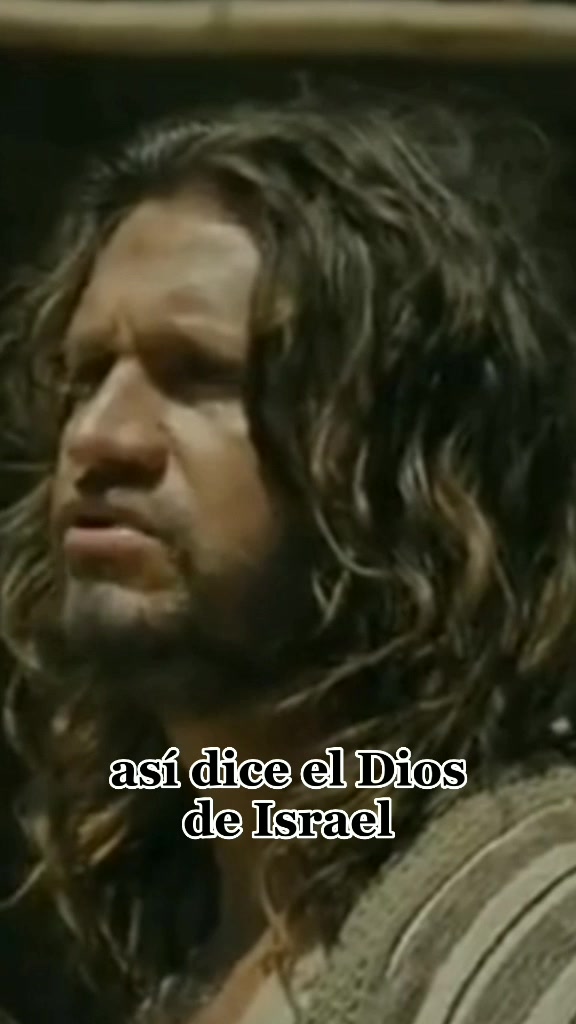 @🦁WiL-Arauto