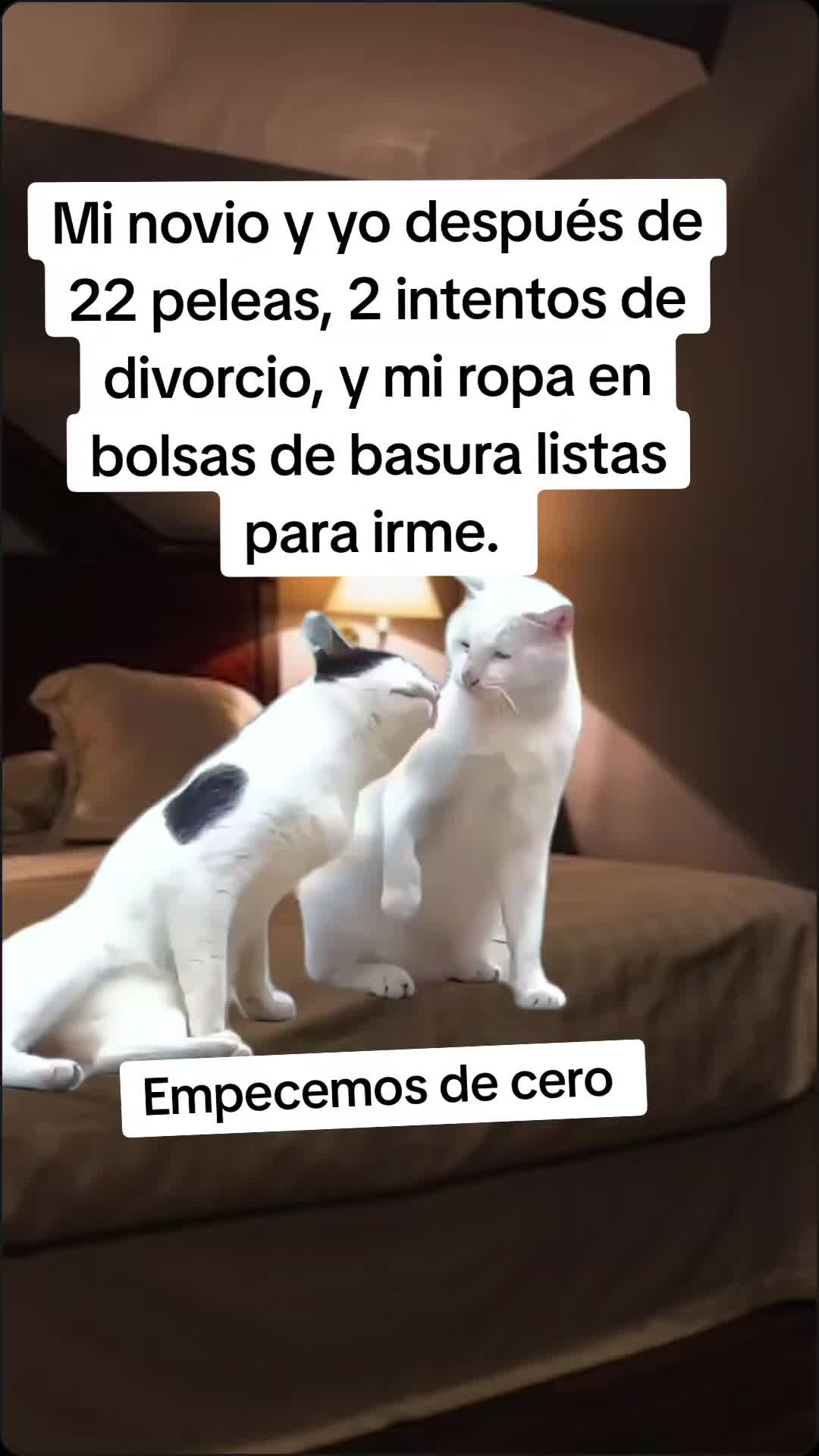 @Jonatan Torres