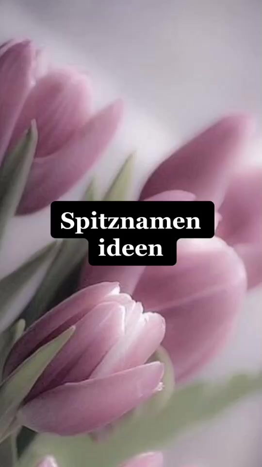 @PROFILBILDER💎