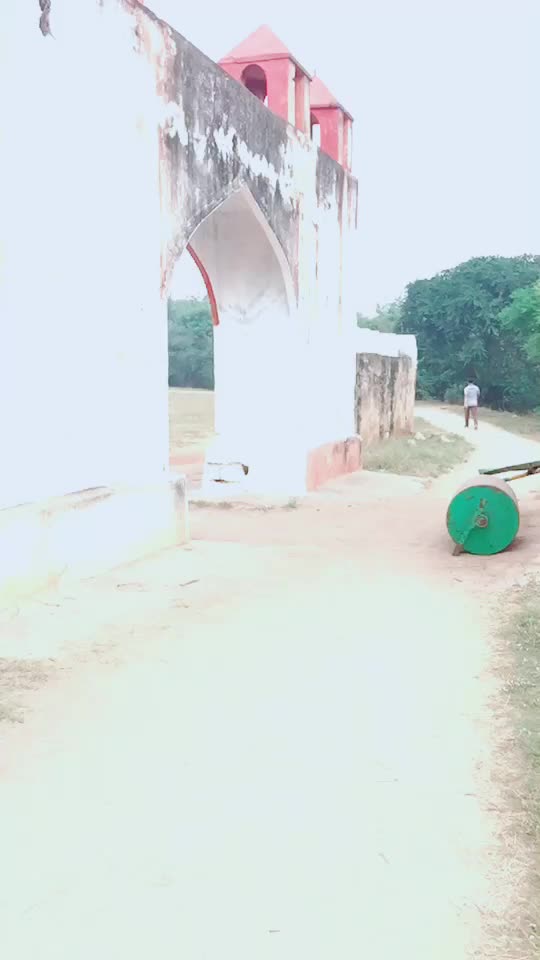@alibinyahiyazaidi
