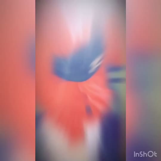 @emerikCrodier97480