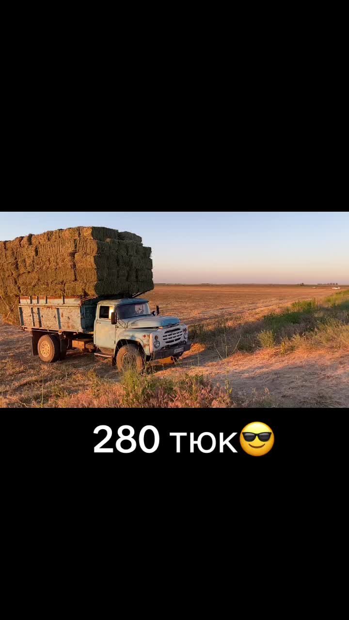 @Райым Мұстафаев 08