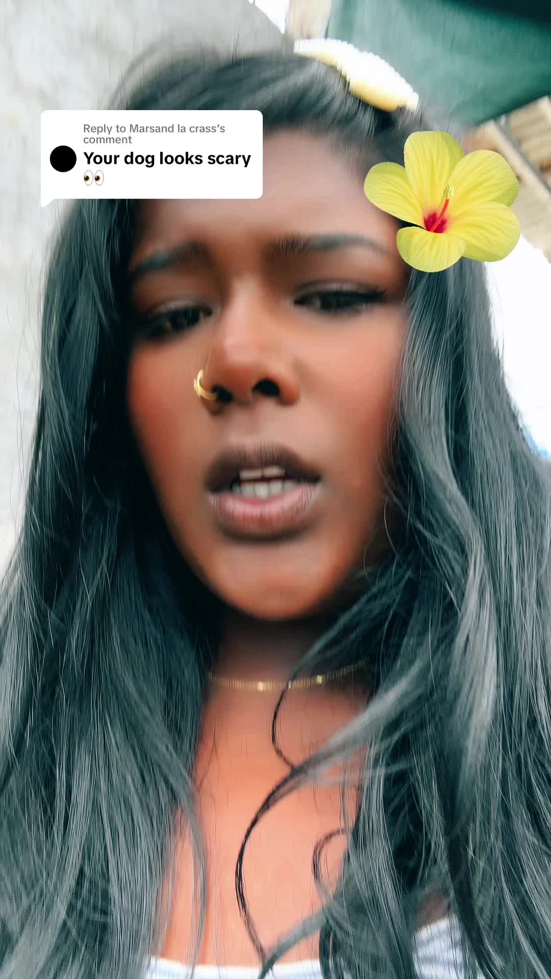 @Aliana🌸