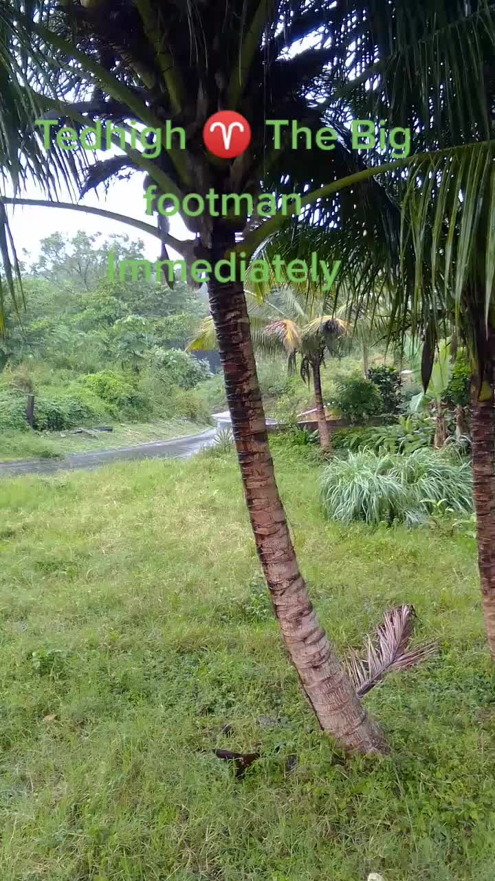 @Tedhigh โ