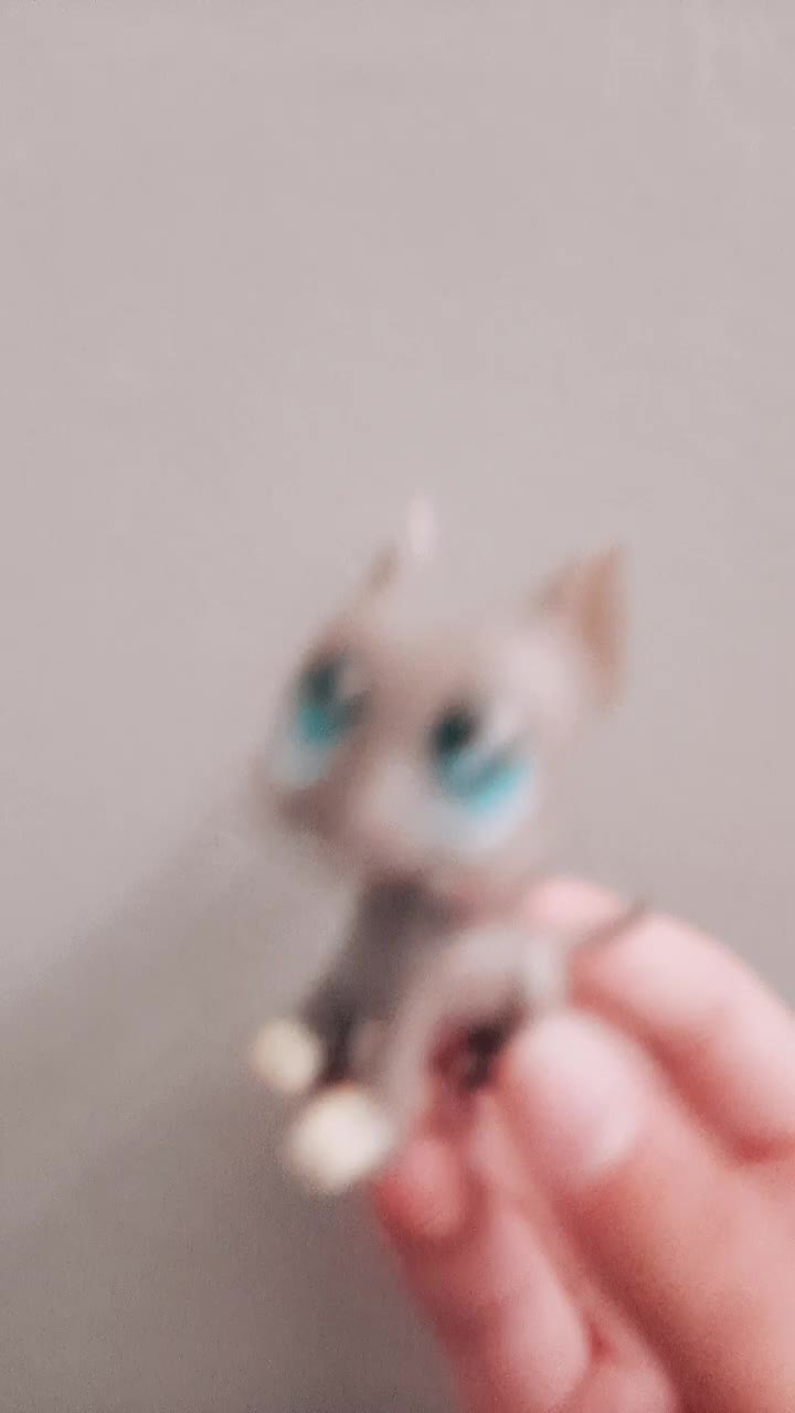 @🌟lps nakki🌟