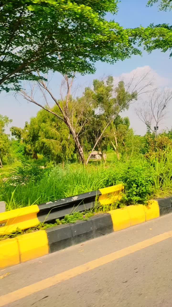 @Fatima Kiyani