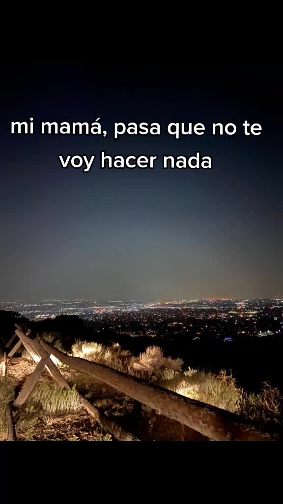 @wuiston arce