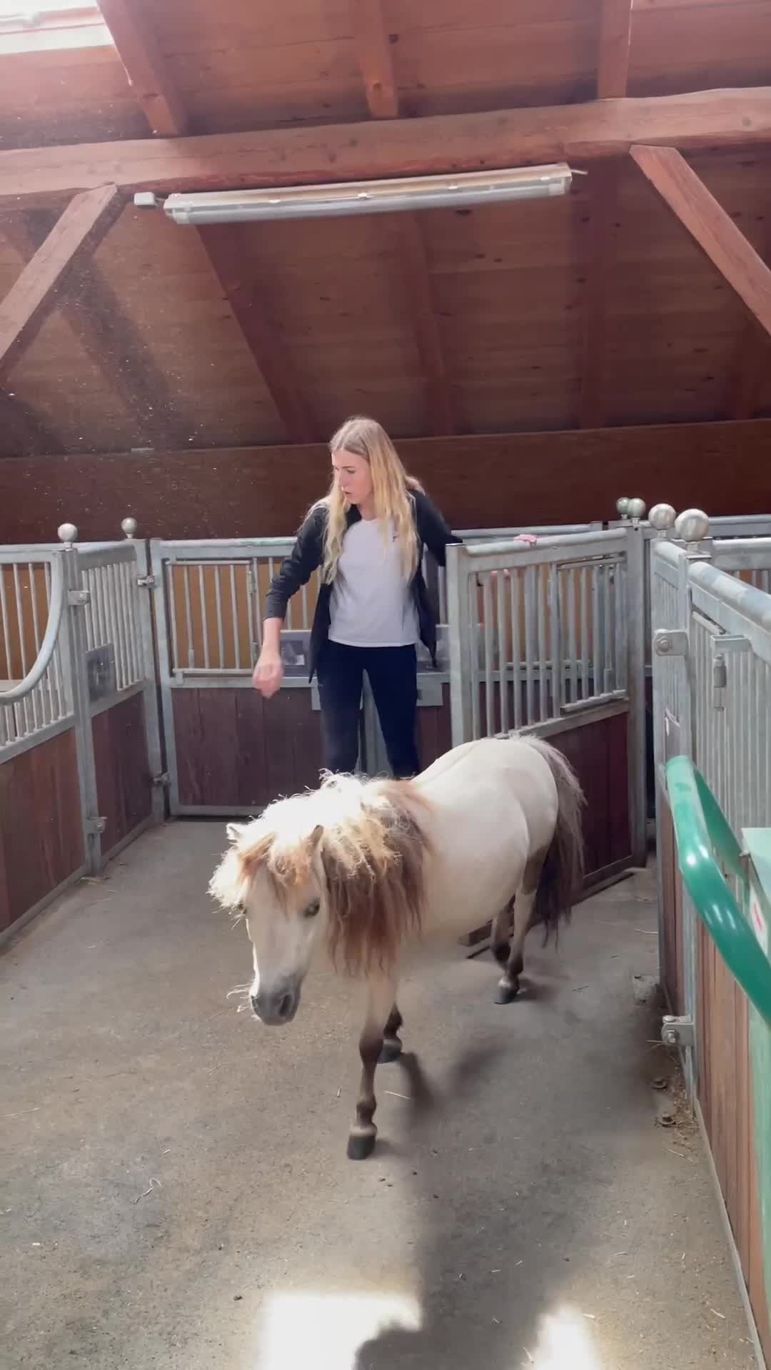 @julia_libertyhorses