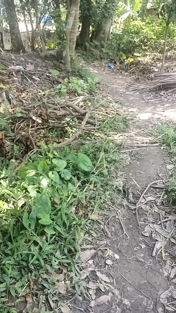@BimanBhadra700113620