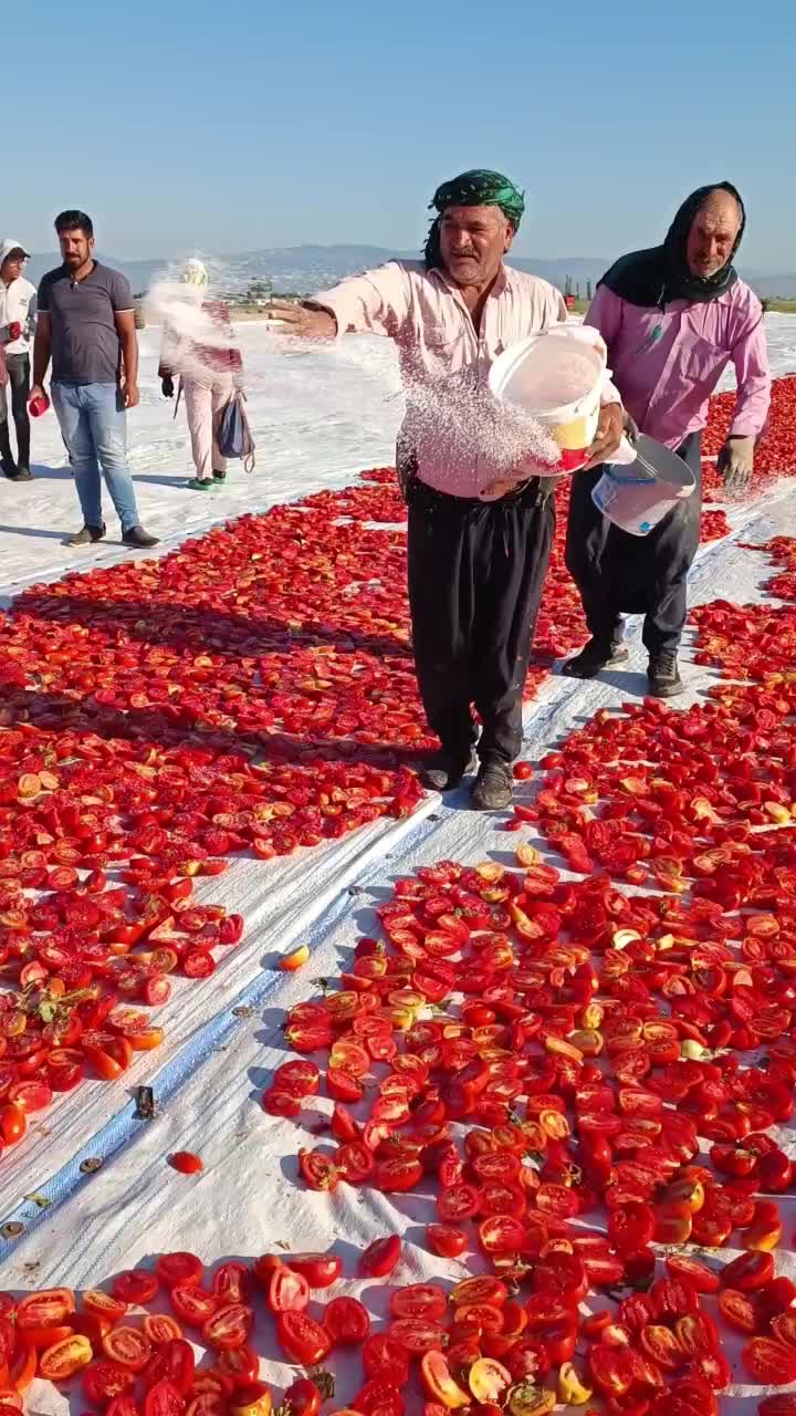 @💫𝘼𝙎𝙔𝘼🌹