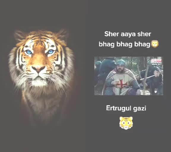 @Akbar Khan37658