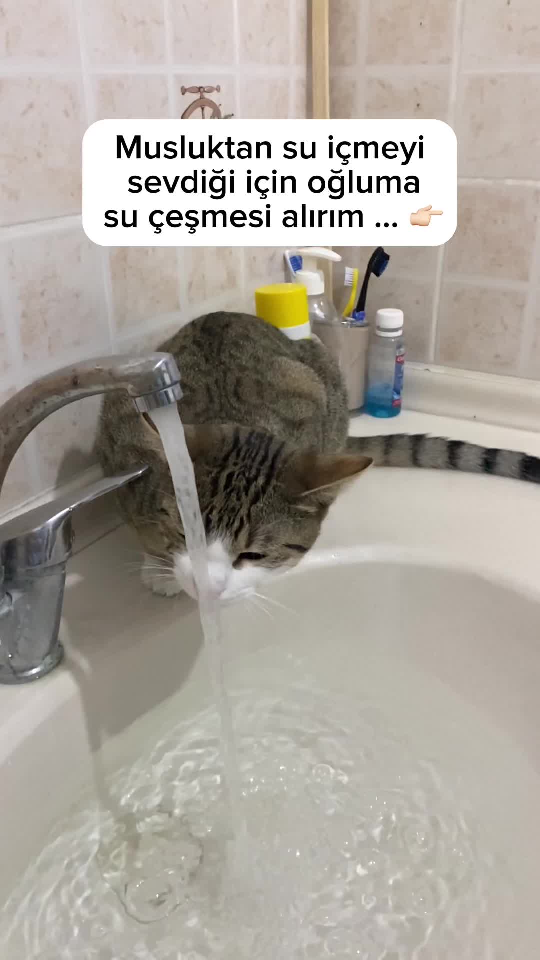 @SEVDAMARSVENÜS
