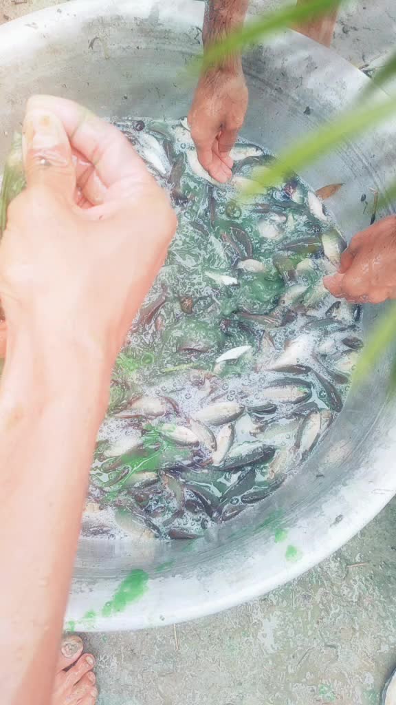@mk music🦋