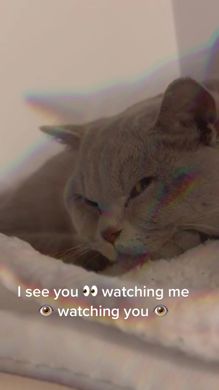 @Kirby&rsquo;s Dreamland