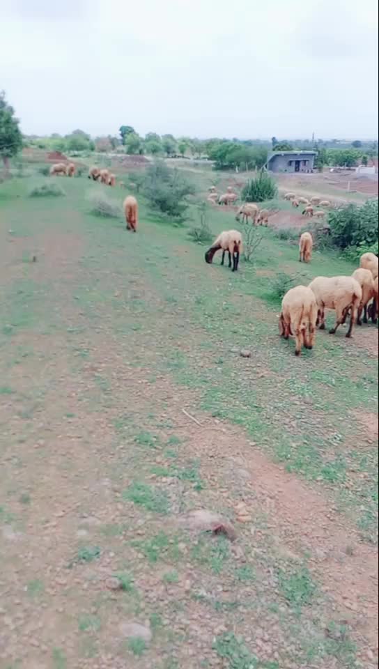 @KAMLESH RABARI