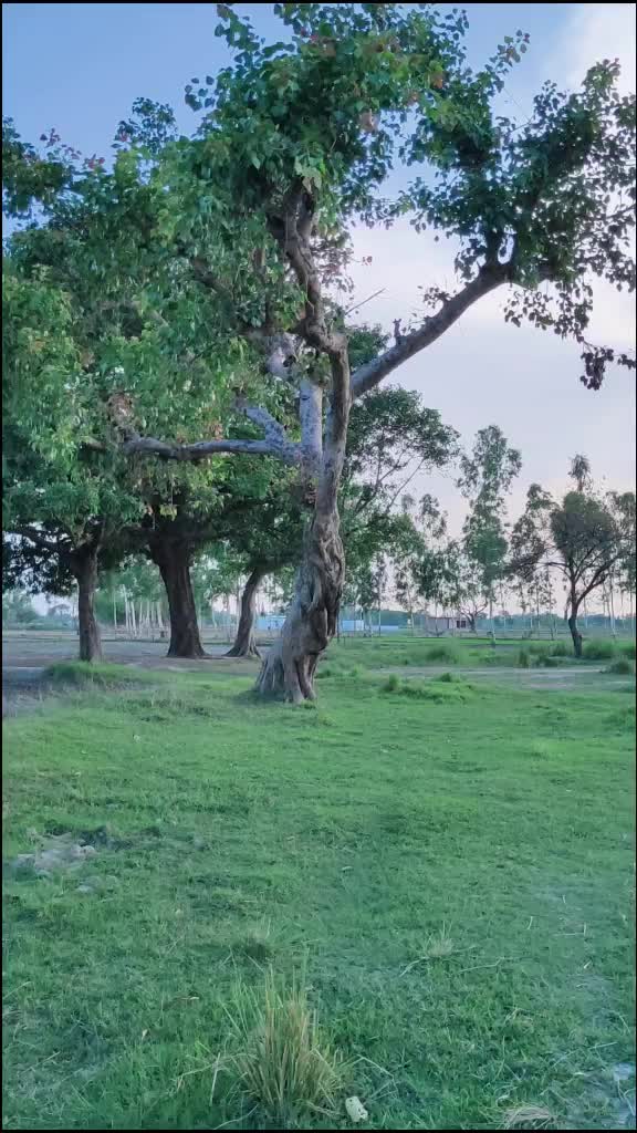 @Saurabh Shukla