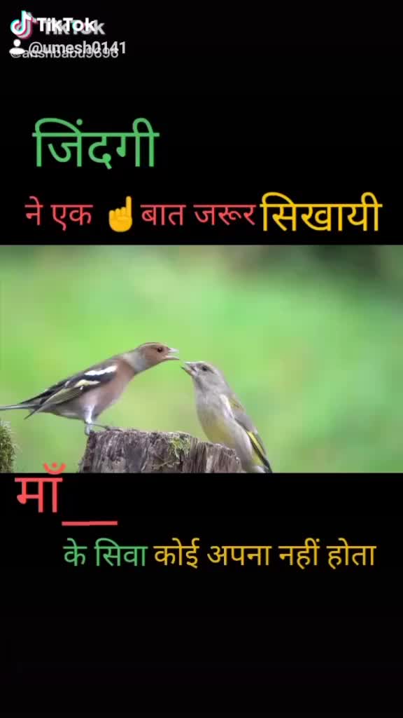 @umesh yadav
