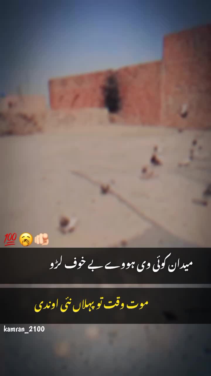 @کبوتر 🕊🕊باز🕊🕊