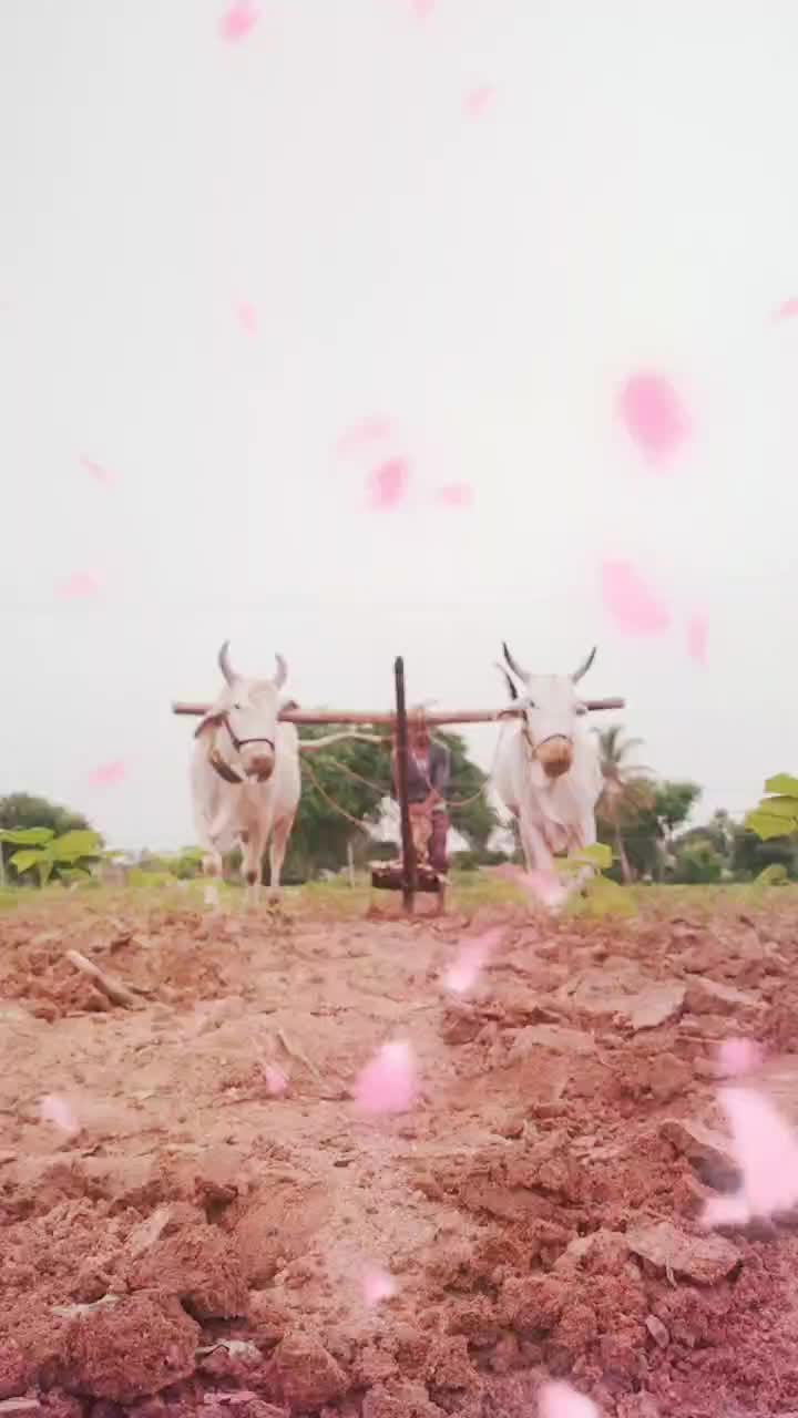 @Janardhan Reddy
